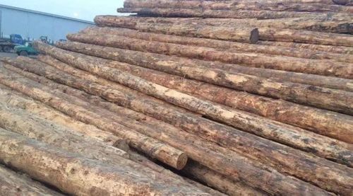 通胀走强 大宗商品持续高位 木材价格走势仍旧存在变数